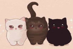 Ảnh 3 con mèo chibi cute