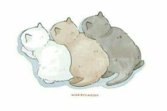 Ảnh 3 con mèo chibi cute