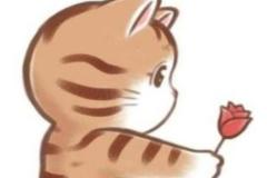 1_avatar-meo-chibi-doi-cute-1