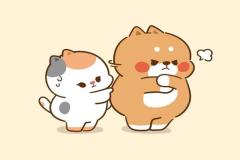 avatar-meo-chibi-doi-cute-1