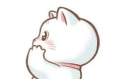 avatar-meo-chibi-doi-xinh-1