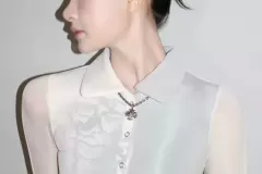 hinh-anh-ca-si-hien-ho-10