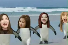 anh-bua-blackpink-3