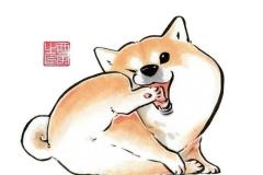 anh-cho-beo-chibi-1