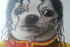 1_anh-con-cho-doi-toc-gia-cute-1