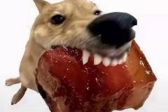anh-cho-gam-meme-1