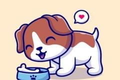 anh-cho-gam-xuong-chibi-1