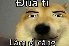 1_anh-cho-beo-meme-1