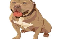 1_anh-cho-pitbull-chibi-1