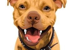 anh-cho-pitbull-chibi-dep-1