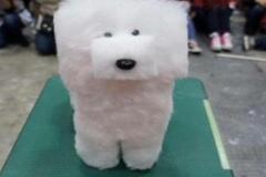 anh-cho-poodle-meme-cute-1