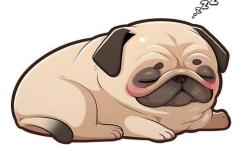 anh-cho-pug-mat-xe-chibi-dep-1