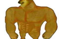 anh-cho-shiba-co-bap-1