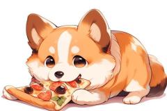 1_anh-cho-shiba-hoat-hinh-dep-1