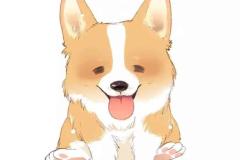 anh-cho-shiba-hoat-hinh-1