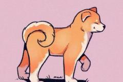anh-cho-shiba-hoat-hinh-dep-1