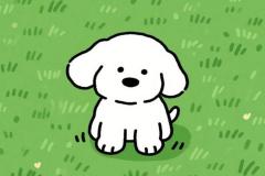 anh-cho-trang-chibi-anime-cute-1