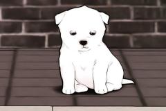 anh-cho-trang-chibi-anime-dep-1