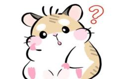 Ảnh chuột hamster chibi đáng yêu