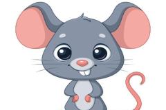Ảnh con chuột cute
