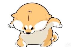 1_anh-con-cho-ngao-chibi-anime-xinh-1