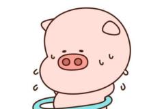 Ảnh con heo chibi anime cưng xỉu