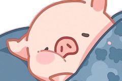 BST ảnh con heo cute đáng yêu