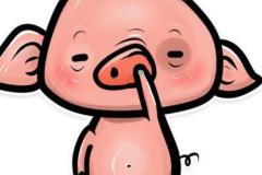 BST ảnh con heo cute đáng yêu