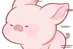 anh-con-heo-map-cute-1-1