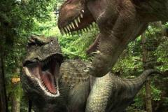 Hình ảnh con khủng long bạo chúa, khủng long T-Rex
