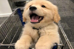 anh-cun-con-cute-1