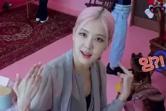 rose-anh-dim-2