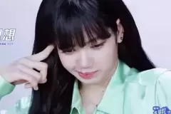 hinh-dim-lisa-1