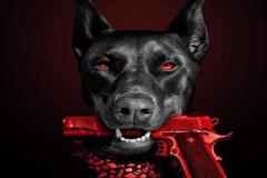 anh-cho-doberman-ngau-1