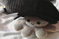 Ảnh bạch tuộc gấu bông cute 