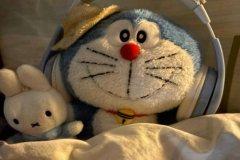 Ảnh gấu bông hình doraemon đáng yêu xỉu