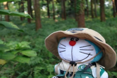 Ảnh gấu bông hình doraemon đáng yêu xỉu