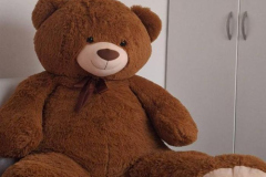 Gấu bông teddy đẹp