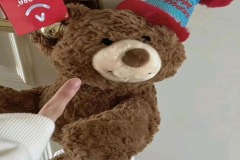 Gấu bông teddy đẹp