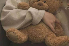 Ảnh gấu bông cute