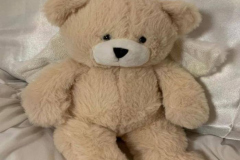 Ảnh gấu bông cute