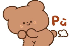 Ảnh con gấu cute 