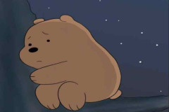 Ảnh con gấu cute 