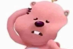 Ảnh meme con gấu hồng hài hước cười xỉu
