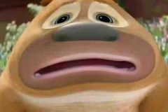 Ảnh gấu meme đáng yêu