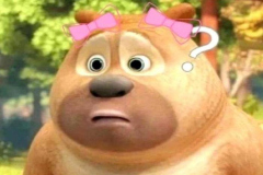 Ảnh gấu meme đáng yêu