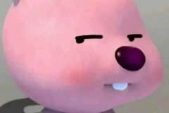 Ảnh gấu meme đáng yêu