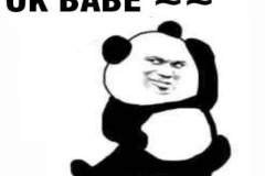 Ảnh gấu hài hước meme