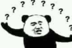 Meme gấu trúc hỏi chấm siêu ngáo hài