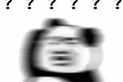 Meme gấu trúc hỏi chấm siêu ngáo hài
